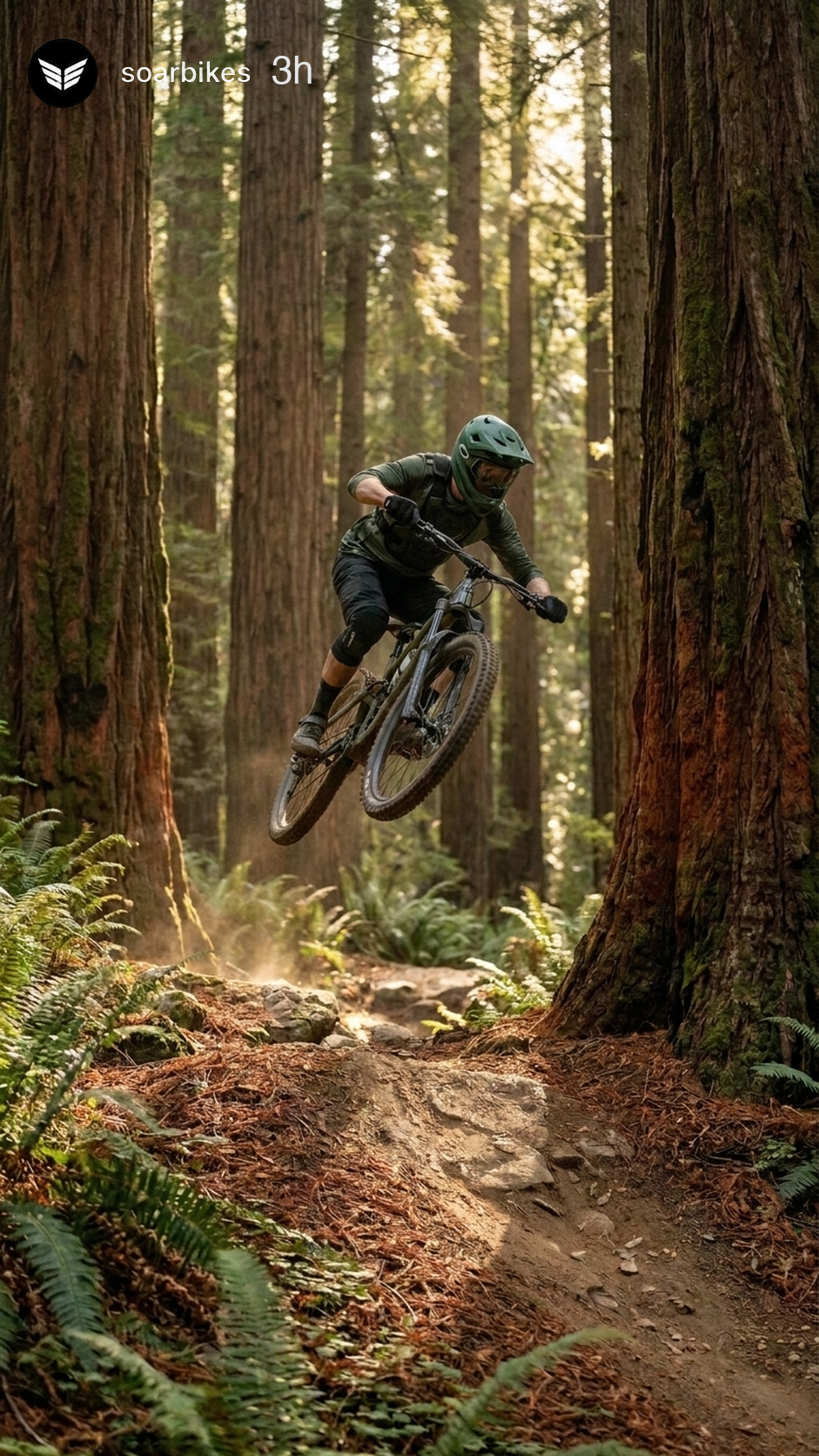 Social reel — soarbikes